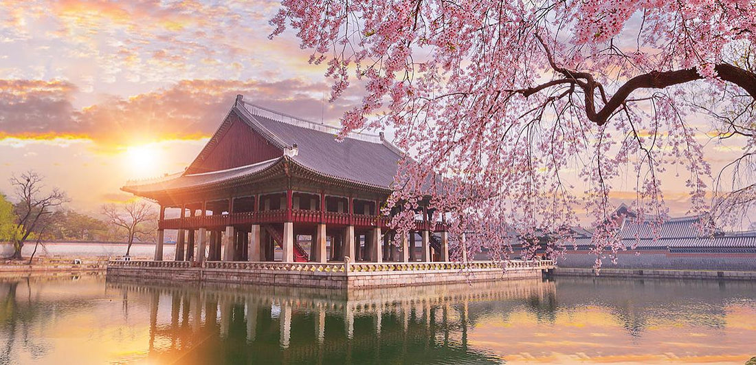 Spring in Seoul: Top Places to See Cherry Blossoms (and a Mug That Brings Them Home)